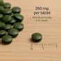 Big Food Chlorella 