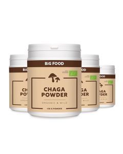 Big Food Bio Chaga Pulver RAW – Exklusives 3+1 END OF YEAR DEAL