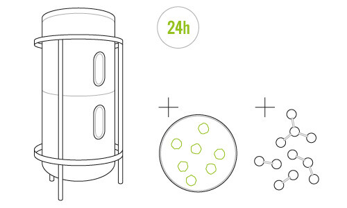 Algae divide in the fermenter